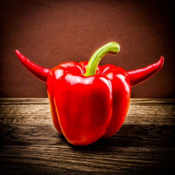 Photograph Petri Damsten Horny Pepper on One Eyeland